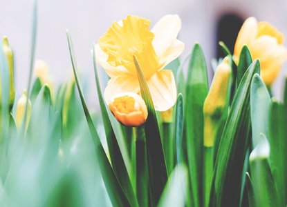 Easter themed activities