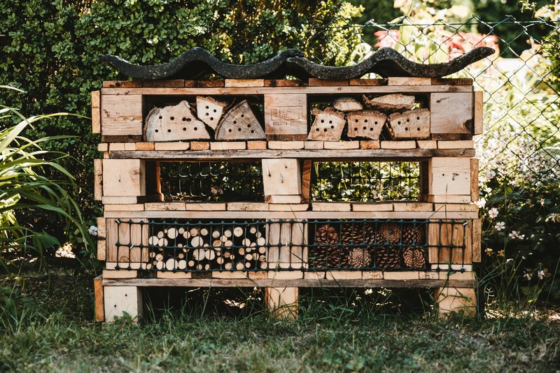 Bug hotel