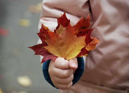 handful of leaves