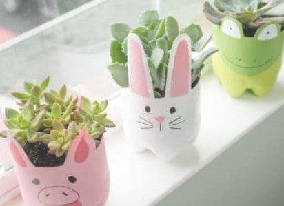 Fizzy bottle pot plants