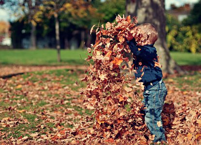 Autumn themed books and activities