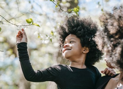 I had a little nut tree