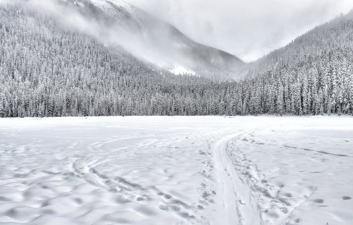 Winter reading and activities