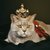 Kings and Queens cat