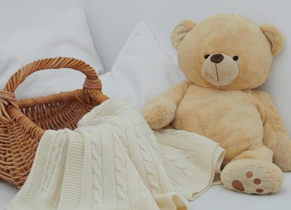 teddy bear picnic.jpg