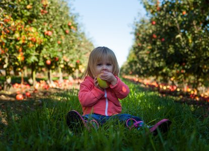 You shall have an apple